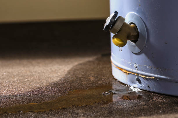 Best Flood restoration services  in Guntersville, AL