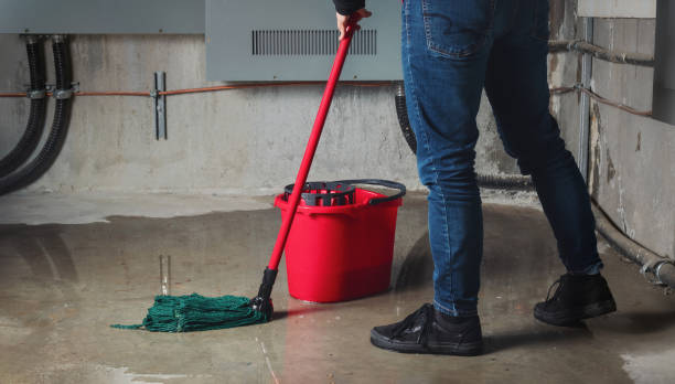 Best Flood damage cleanup  in Guntersville, AL