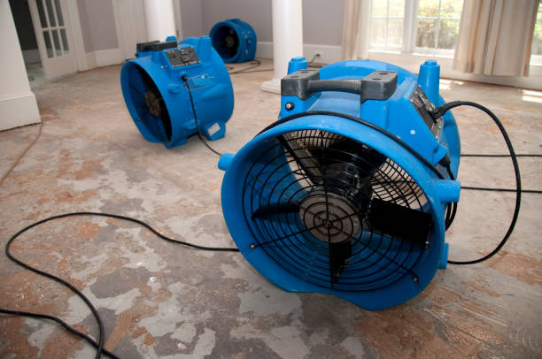 Best Water damage cleanup near me  in Guntersville, AL